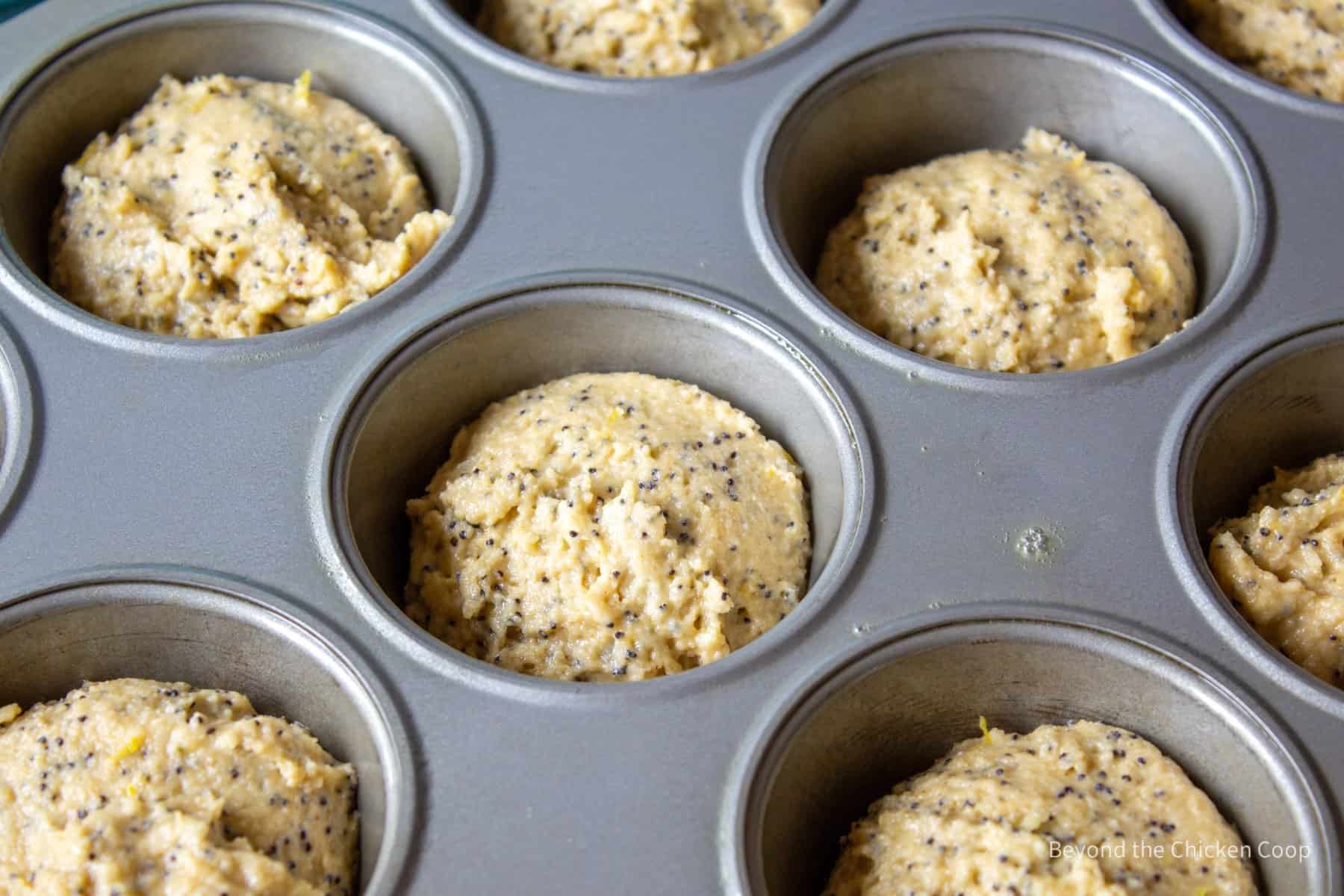 Muffin batter in a muffin tin.