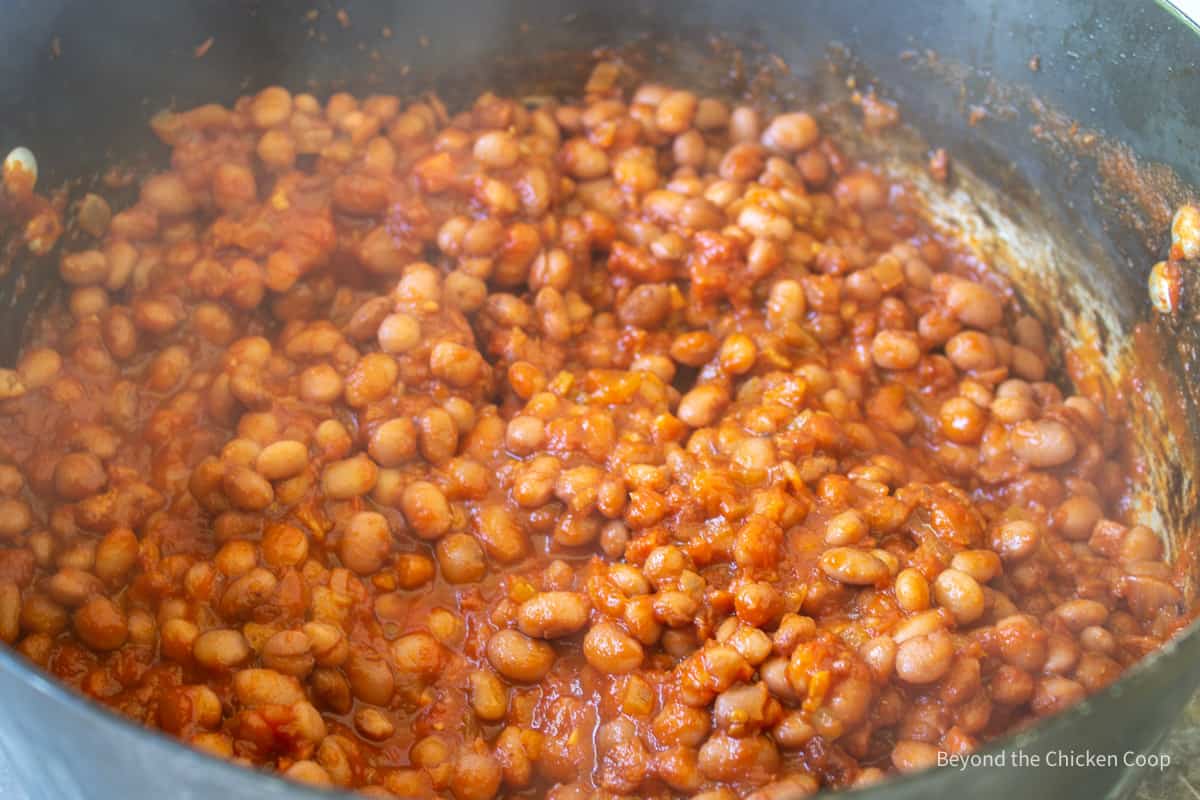 Baked beans in a stock pot.
