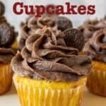 Yellow cupcakes topped with chocolate frosting.
