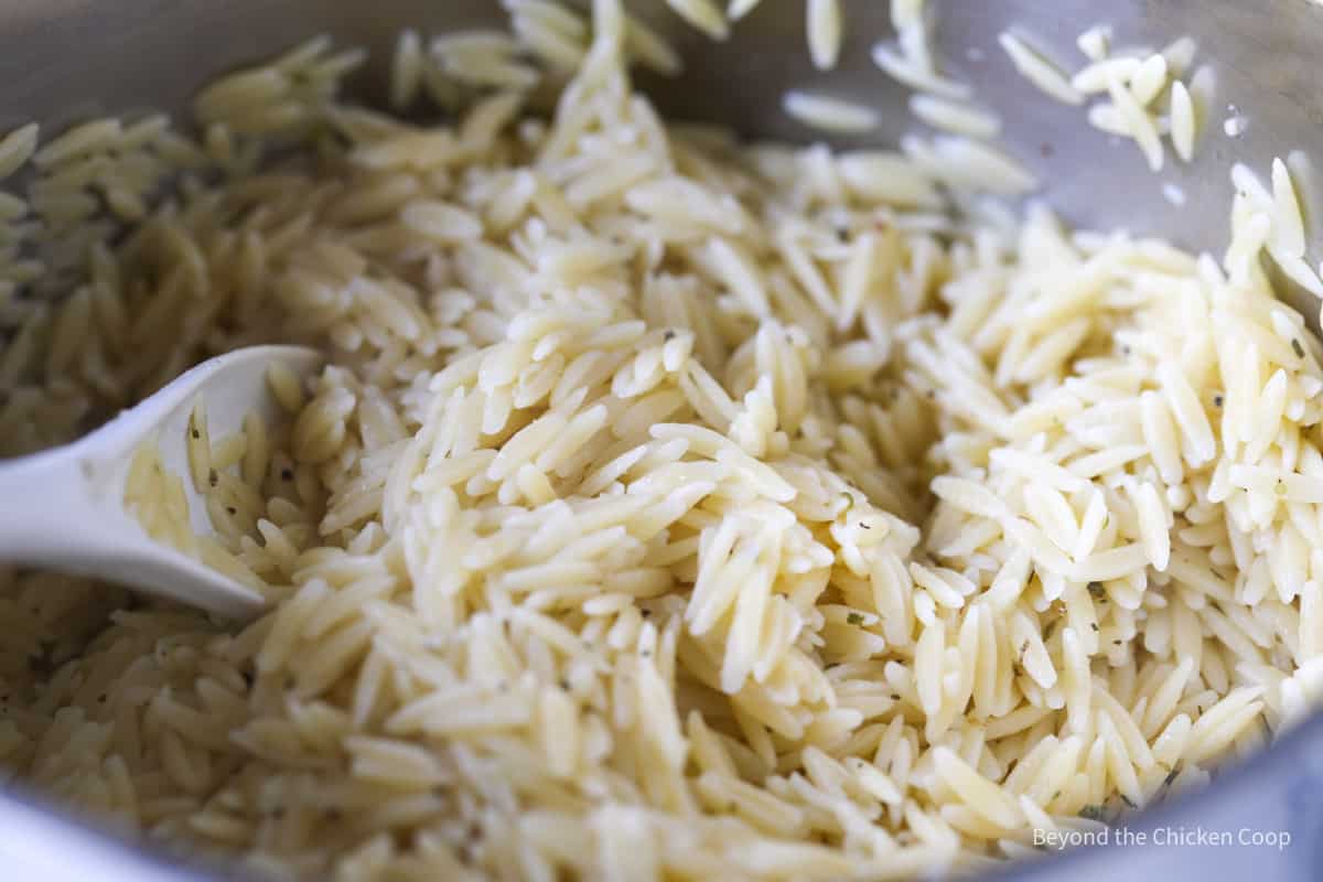 Close up shot of orzo pasta.