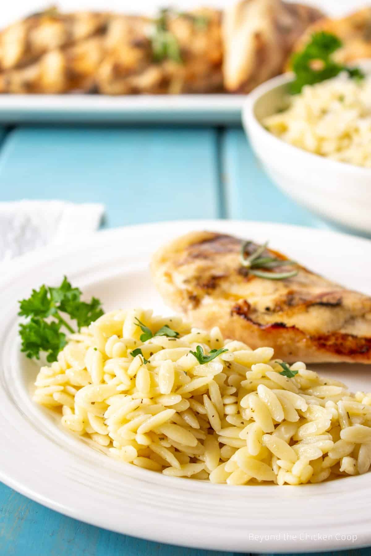 Chicken with a side of orzo pasta on a white dinner plate.