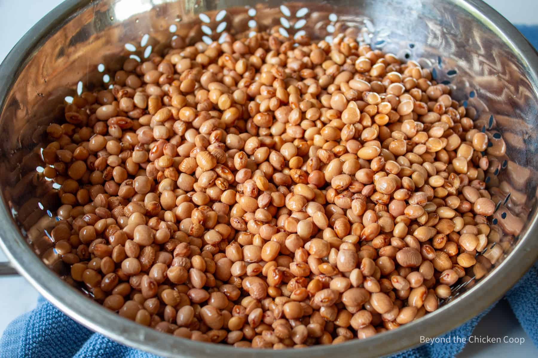 Drained pinquito beans in a collendar. 