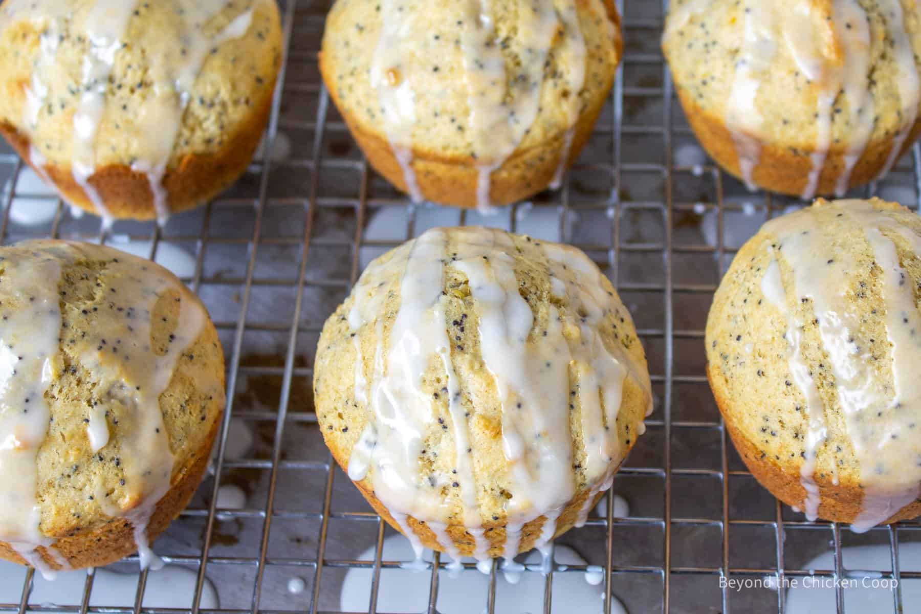 Muffins on a baking rack.