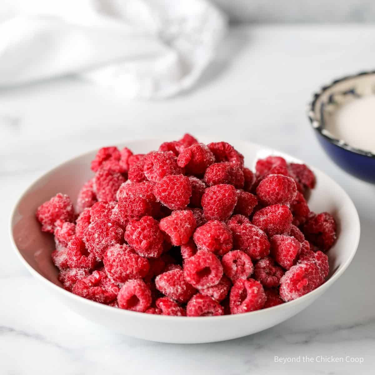 A bowl of frozen raspberries.