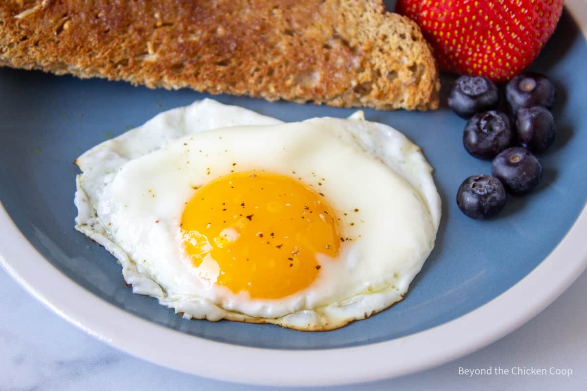 A sunny side up egg with fruit and toast.