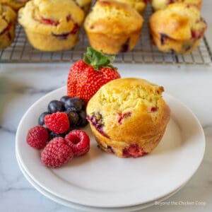 A berry filled muffin.
