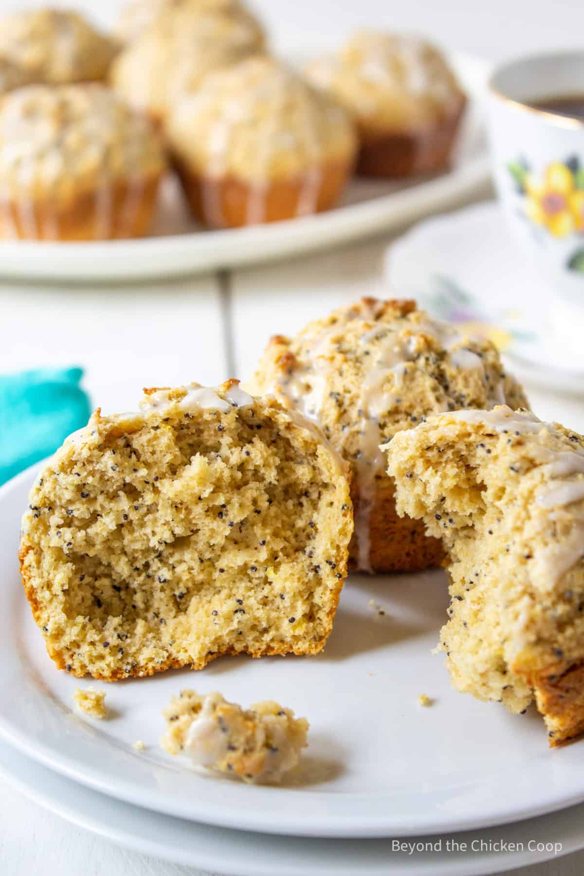 A poppy seed muffin cut in half. 