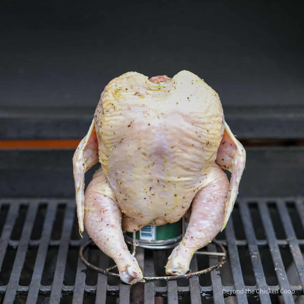 A whole chicken sitting on a beer can on a grill.