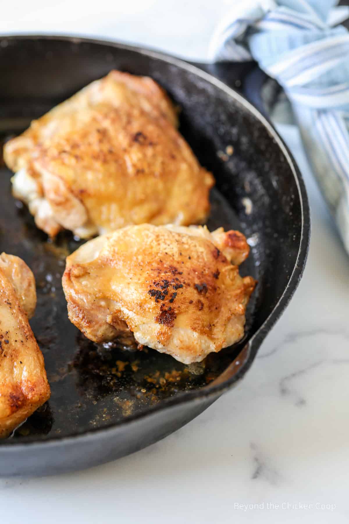 Cooked chicken in a cast iron skillet.