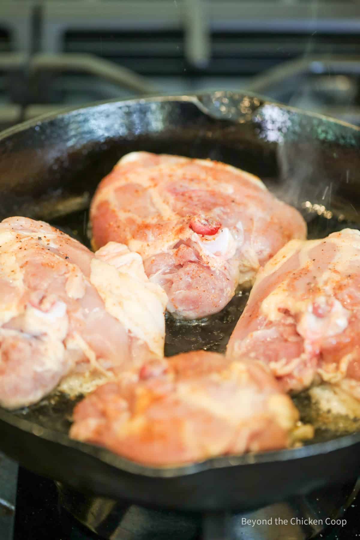 Chicken thighs in a cast iron skillet.