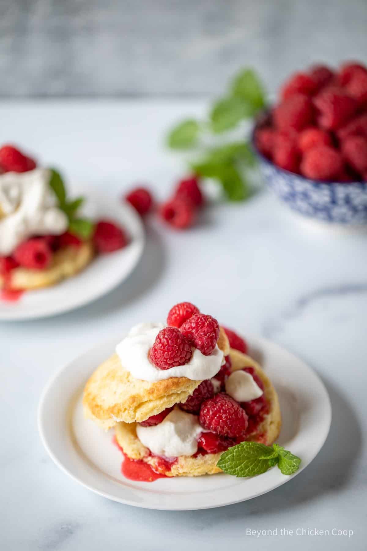 Raspberry shortcakes on small white plates.