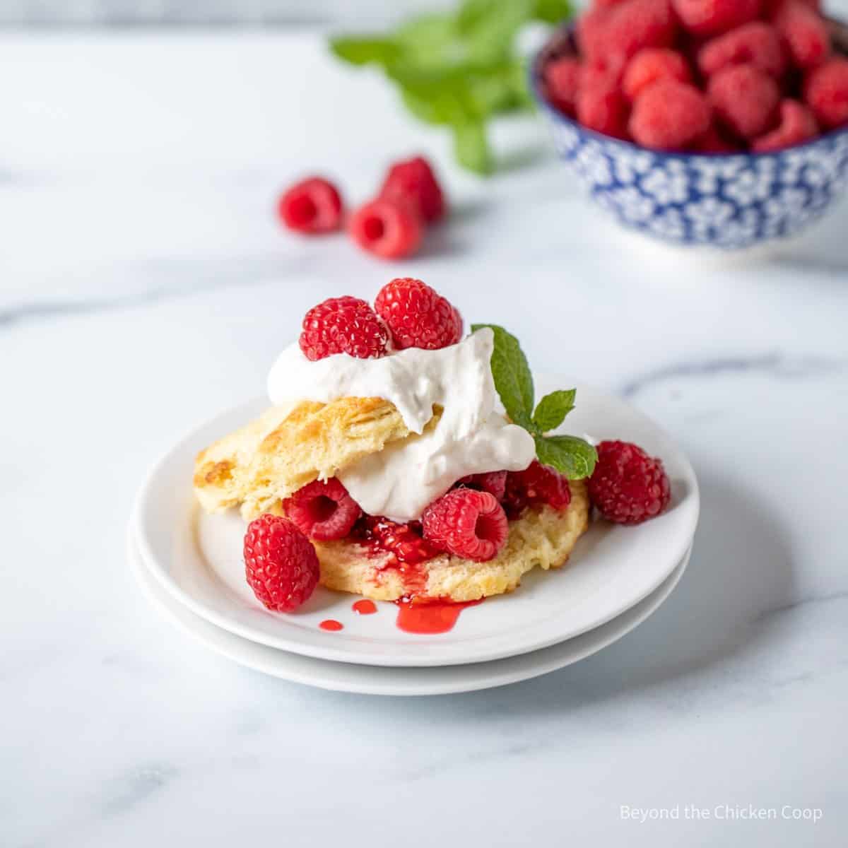 A stack of cake with whipped cream and raspberries.