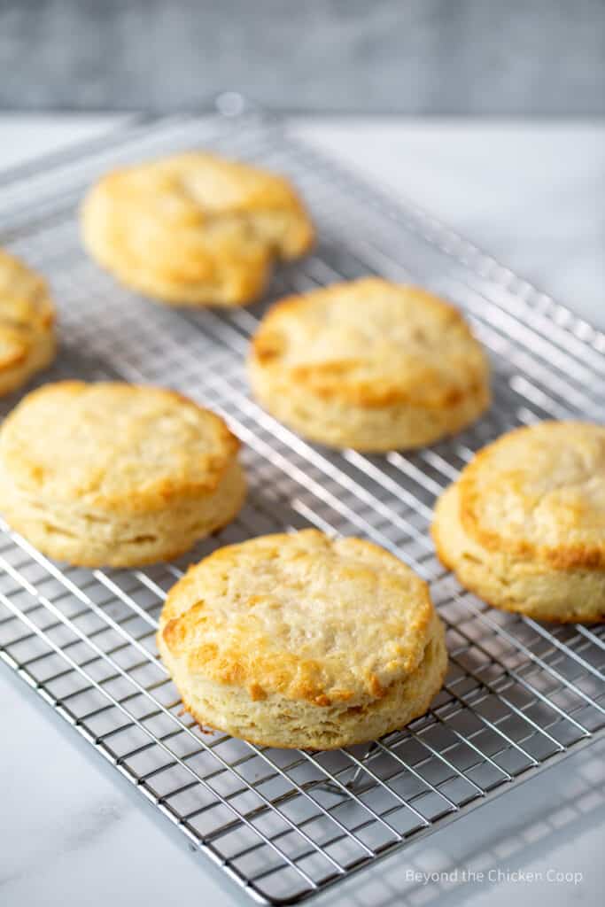 Baked shortcakes on a rack.