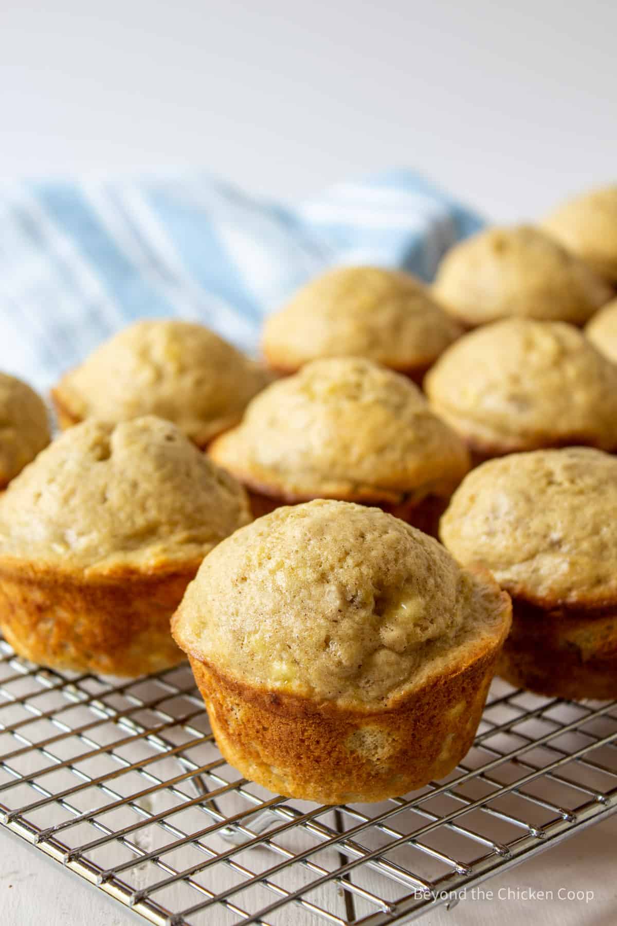 Muffins on a cooling rack.