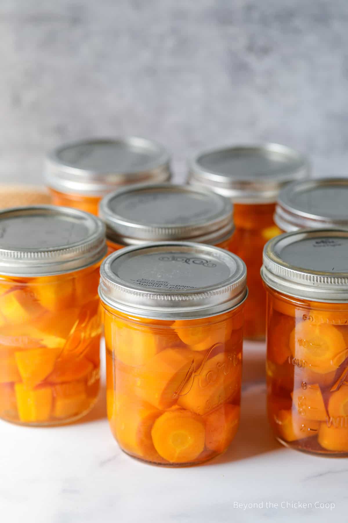 Home canned carrots in canning jars.