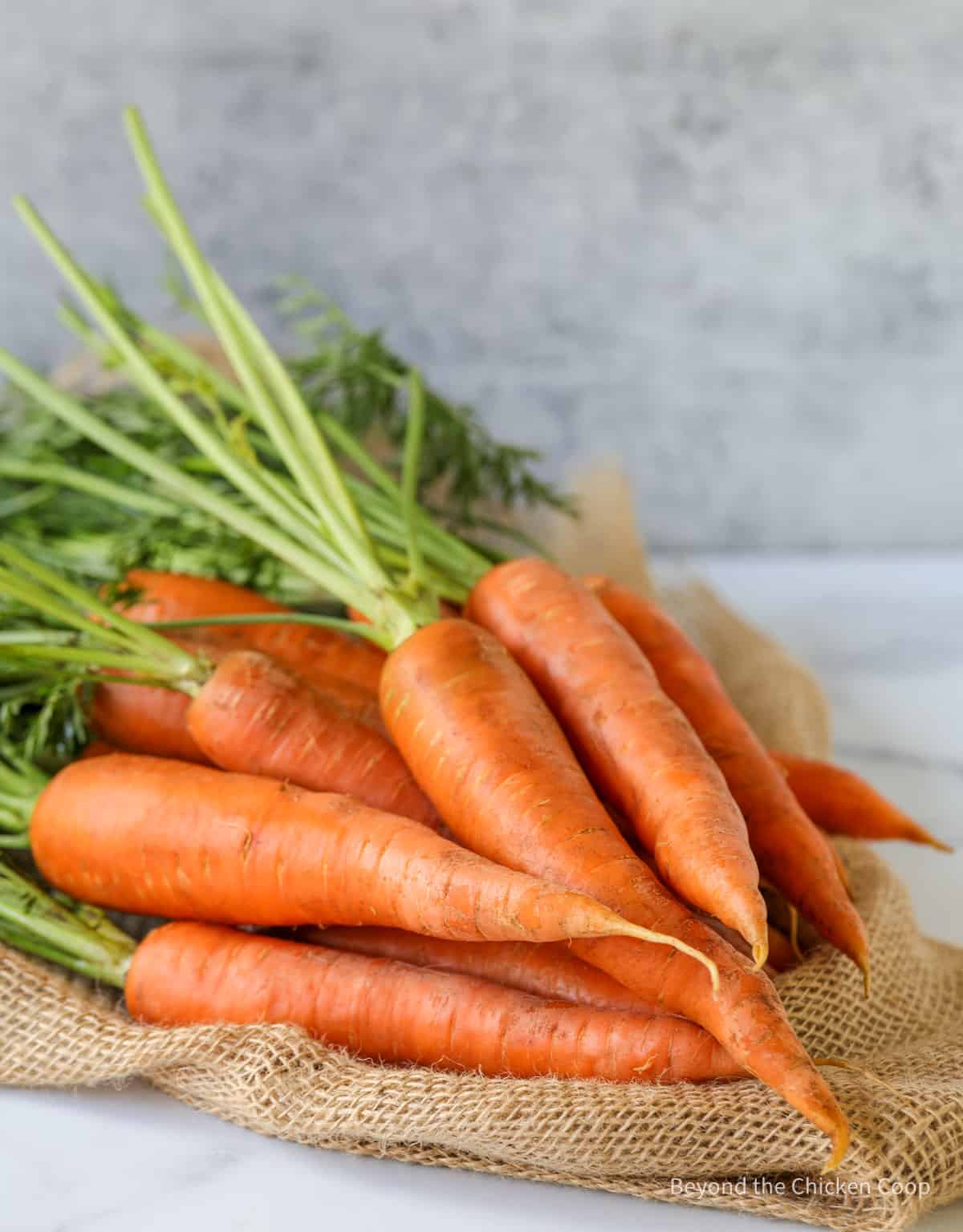 Whole carrots with the green tops.