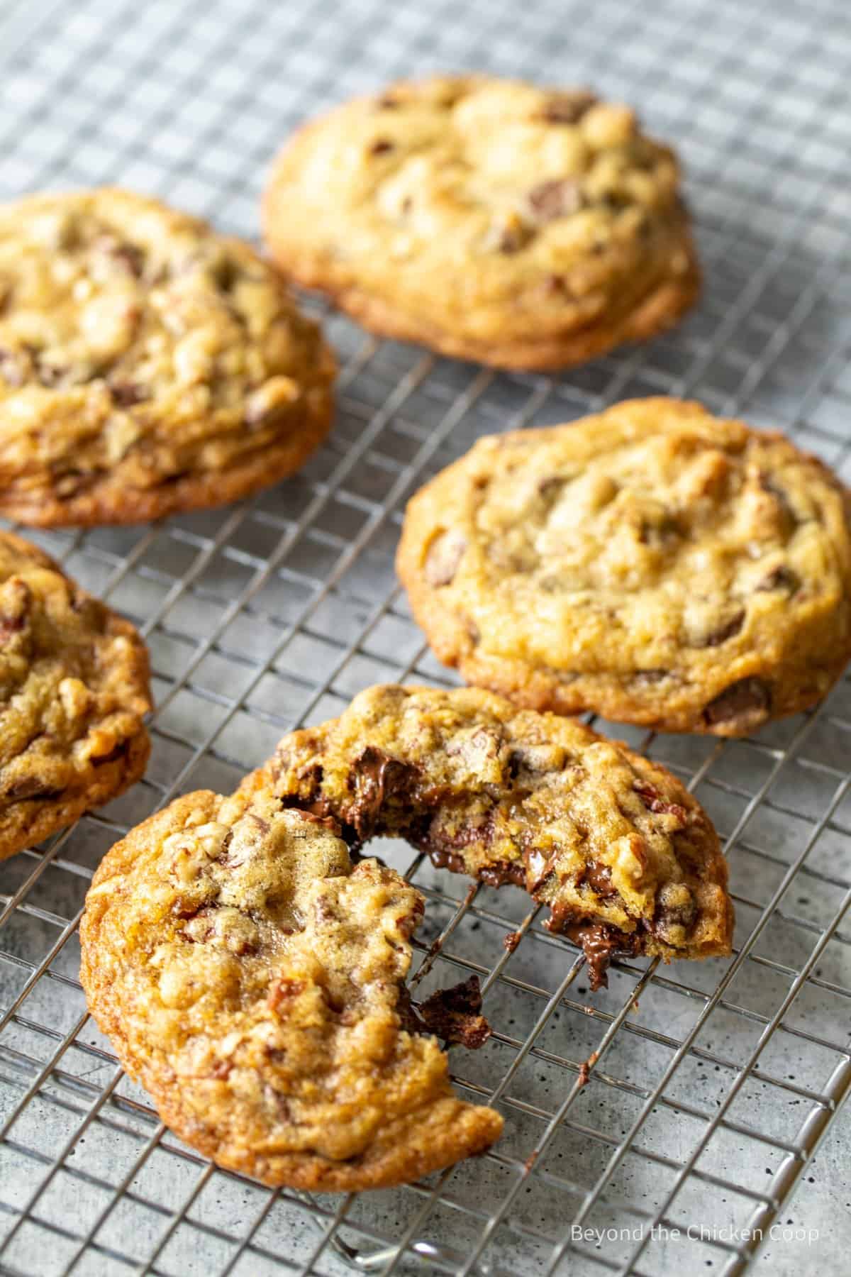 Cookies cooling on a baking rack.