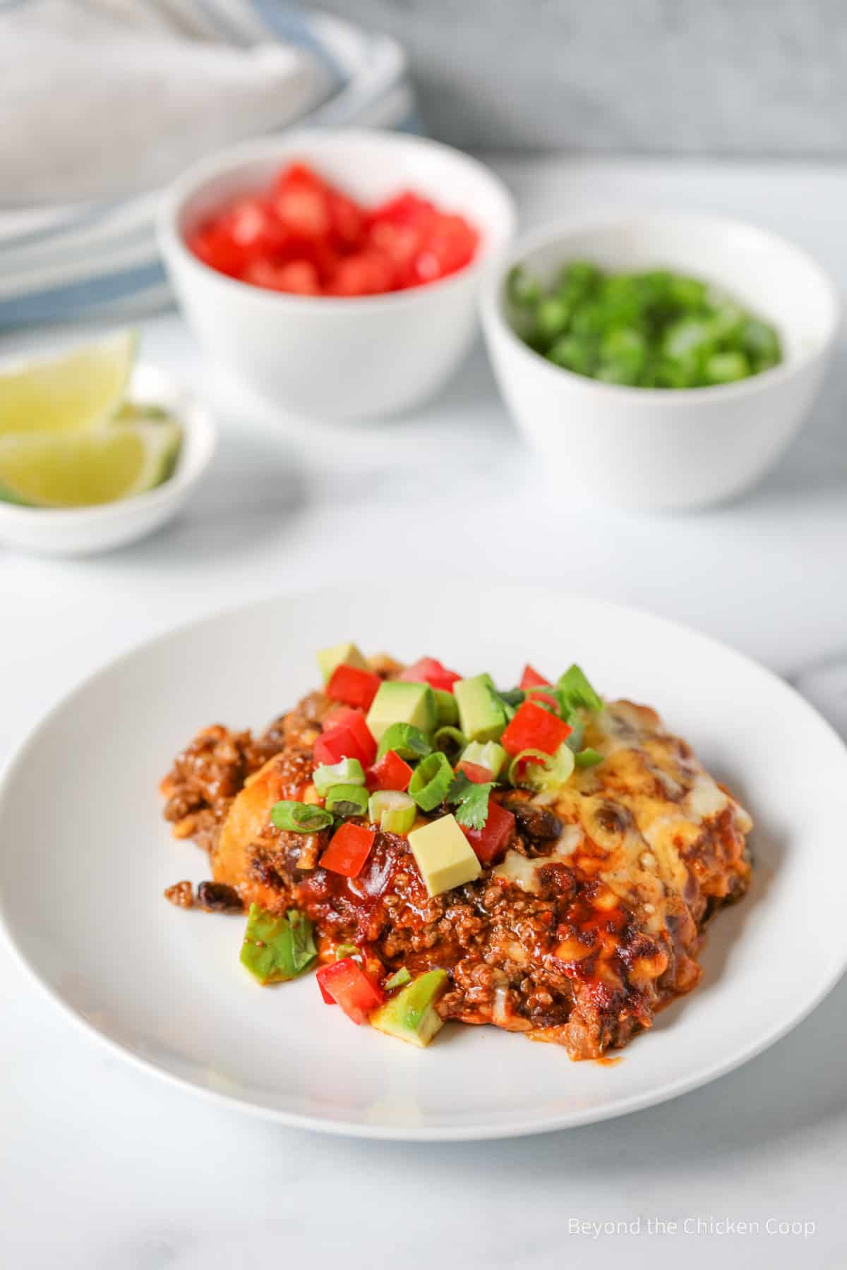 A plate with enchilada casserole.