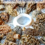 https://www.beyondthechickencoop.com/wp-content/uploads/2022/06/How-to-Dry-Morel-Mushrooms-150x150.jpg