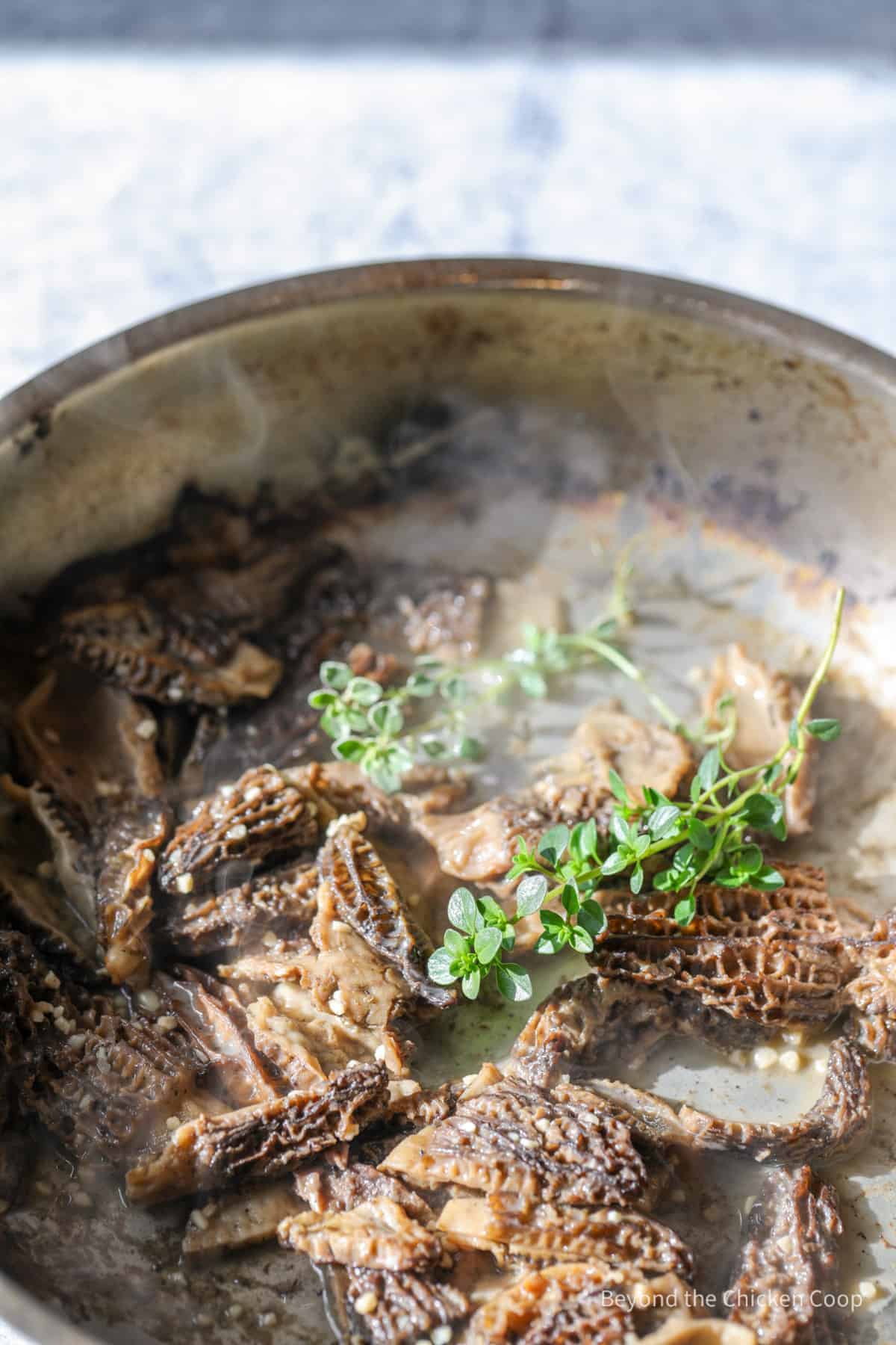 Fried mushrooms in a pan with green sprigs of thyme.