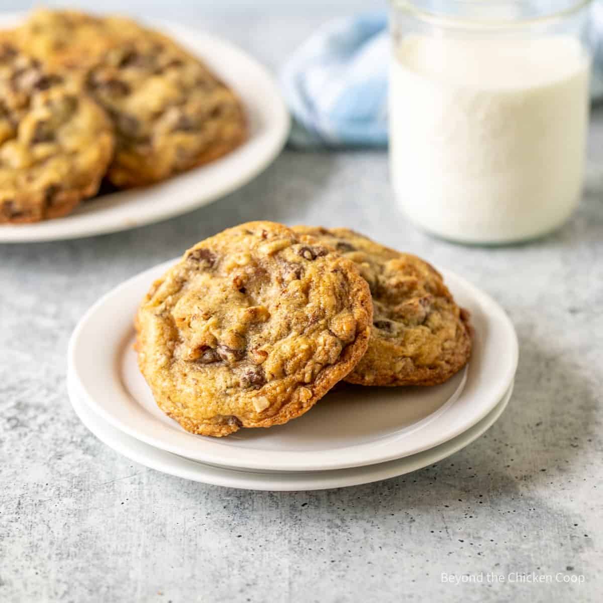 Cookies on a white plate by a glass of milk.