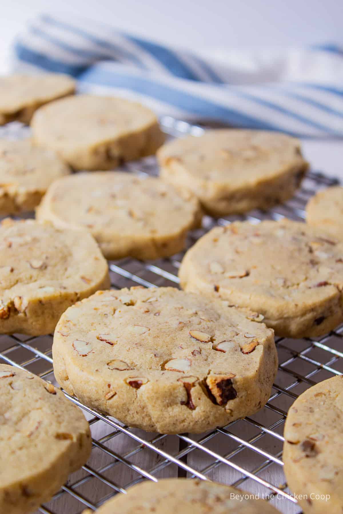 Round cookies on a cooling rack.