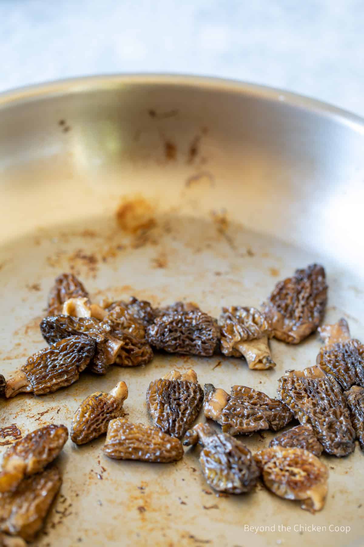 Sauteing morel mushrooms.