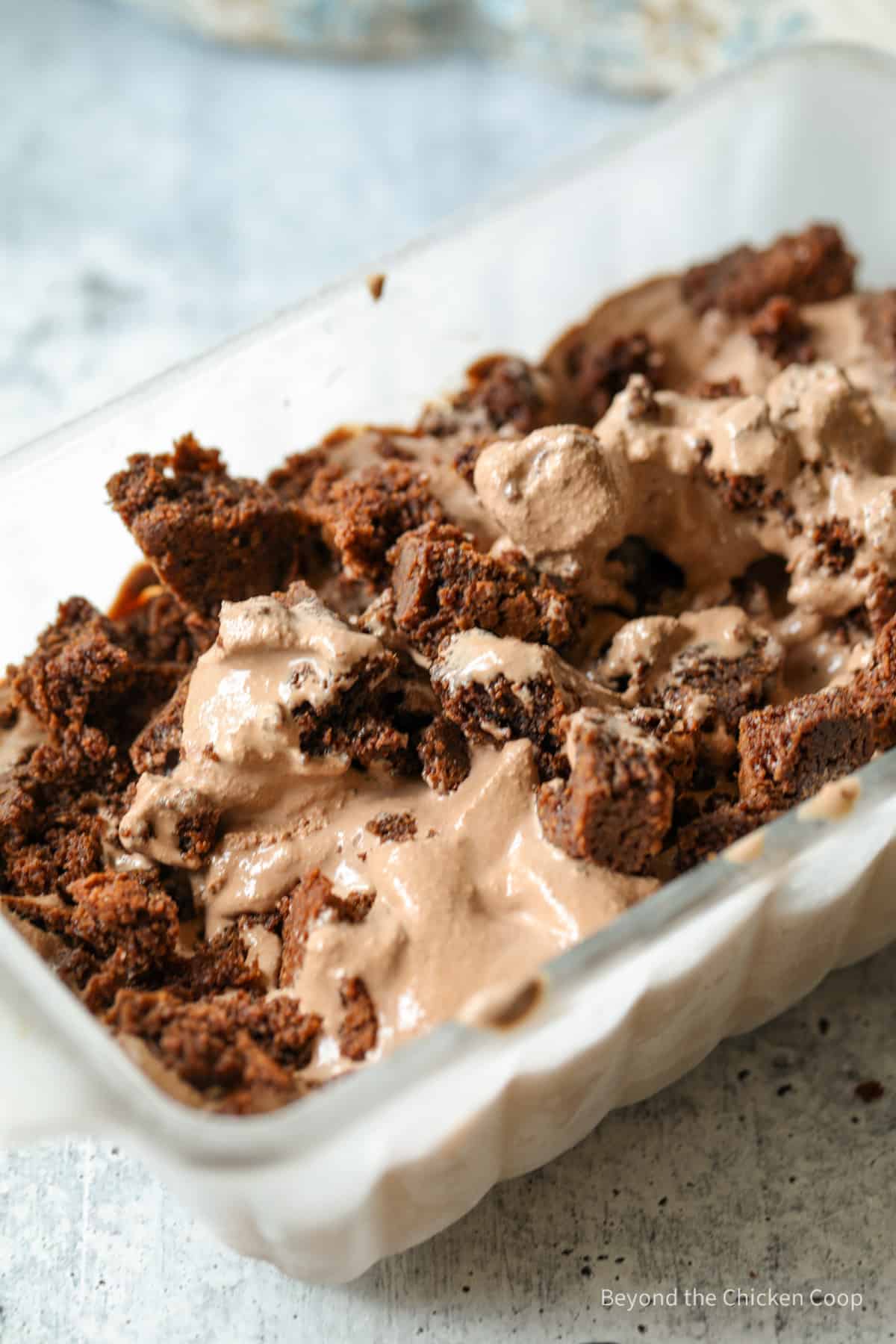 Brownie bits in ice cream.