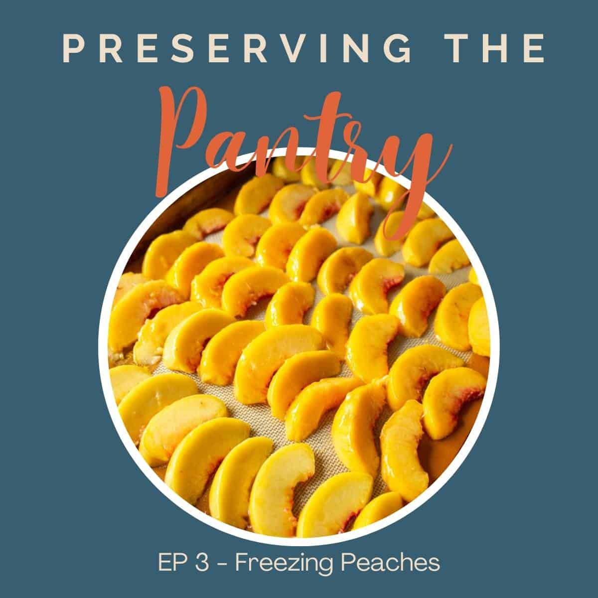 A tray full of sliced peaches.