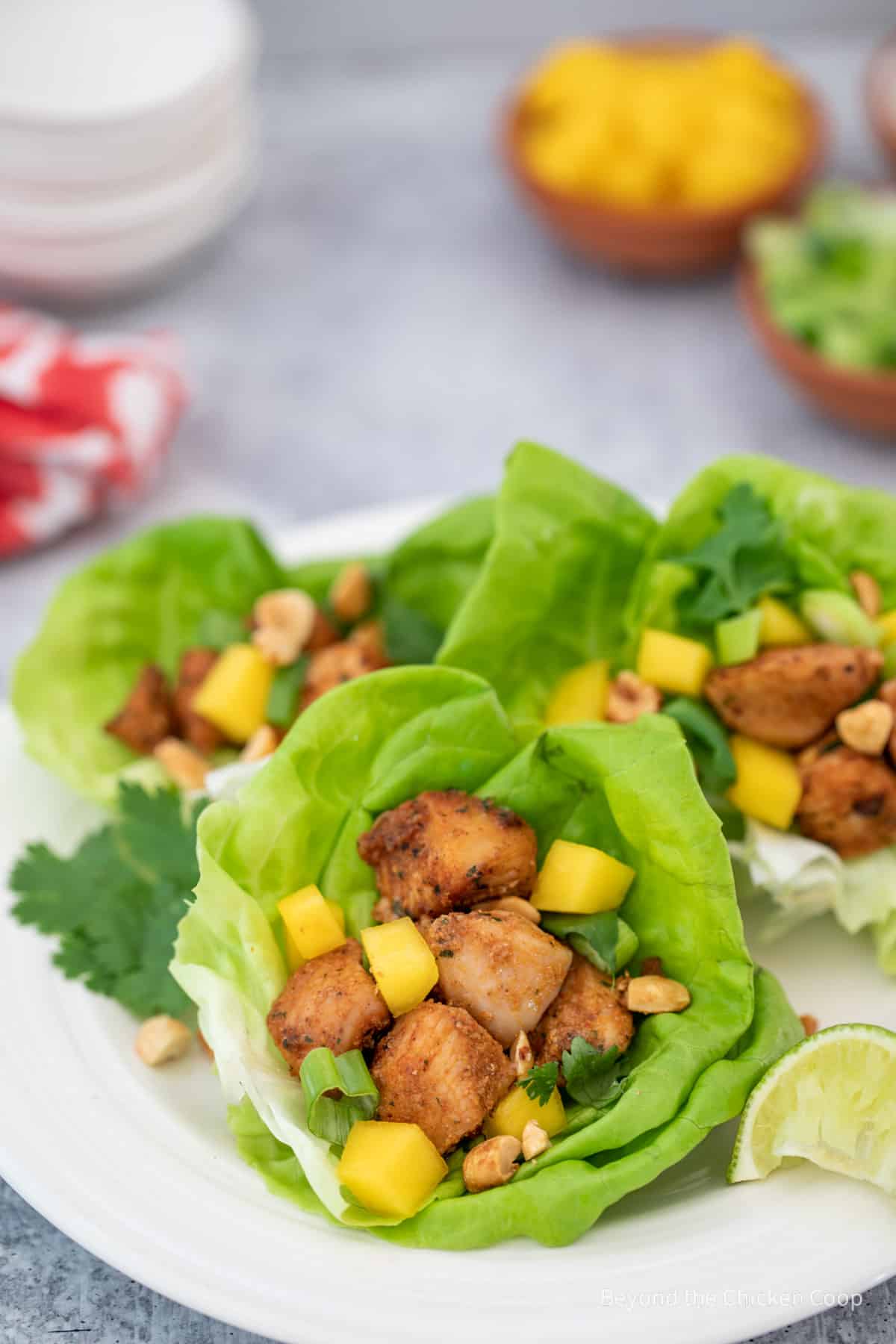 Chicken lettuce wraps on a plate. 