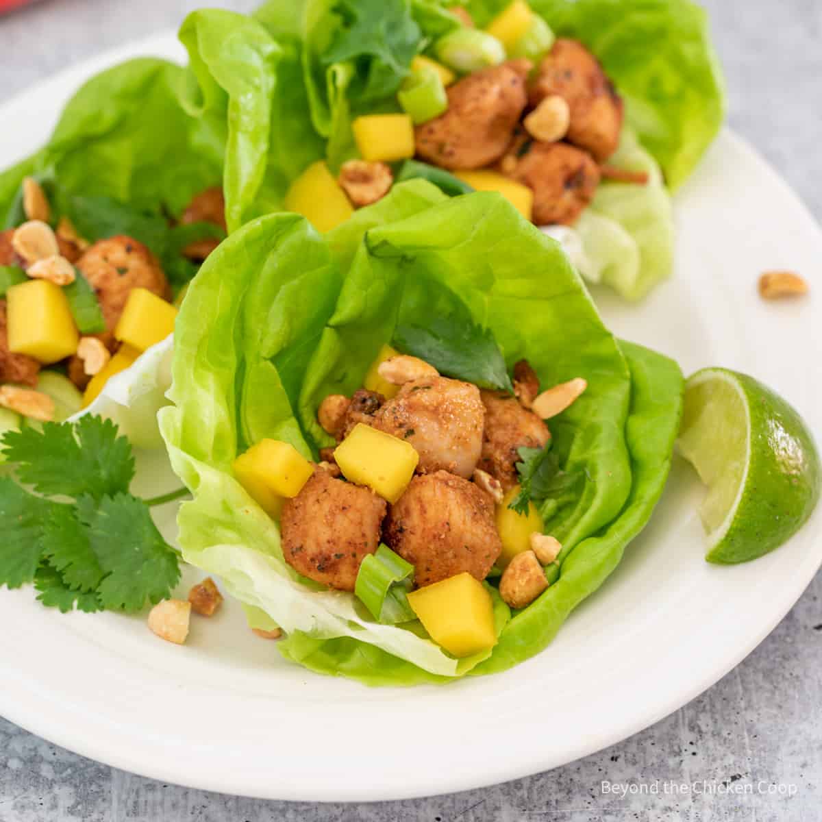 Lettuce wraps with chicken, nuts and mangoes. 