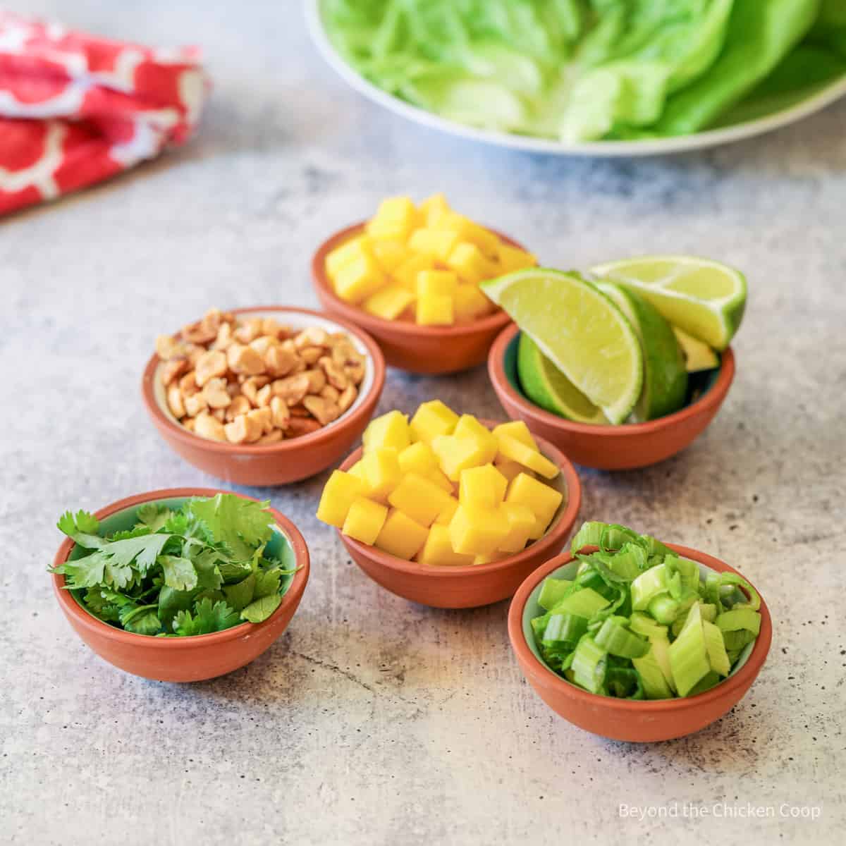 Small bowls filled with mango, green onions, cilantro, limes and peanuts.