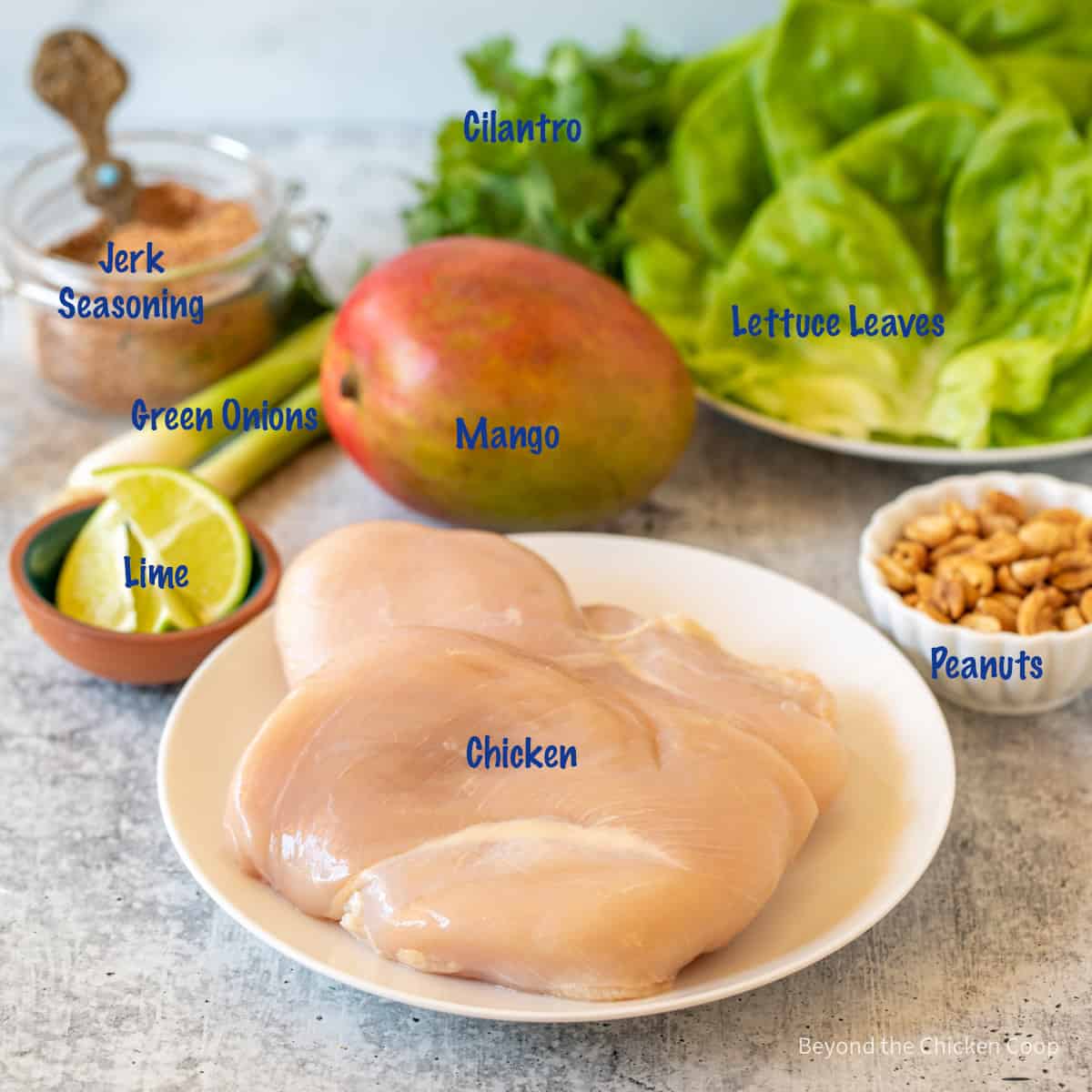 Raw chicken breast on a plate surrounded by other small bowls filled with limes and peanuts. 