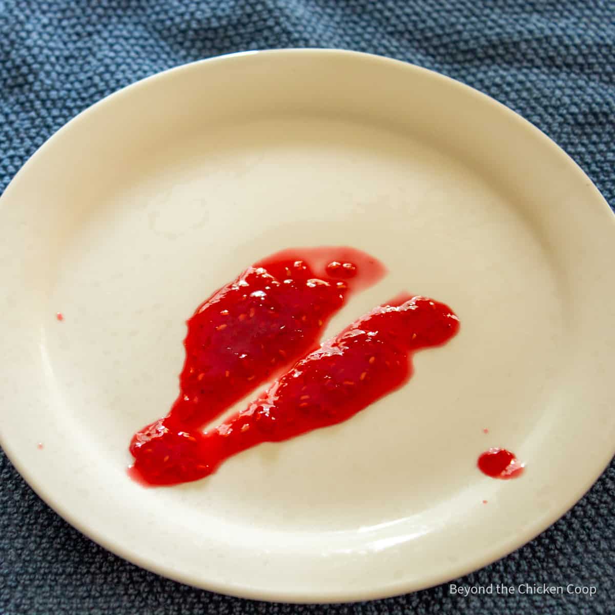 A dollop of jam on a white plate.