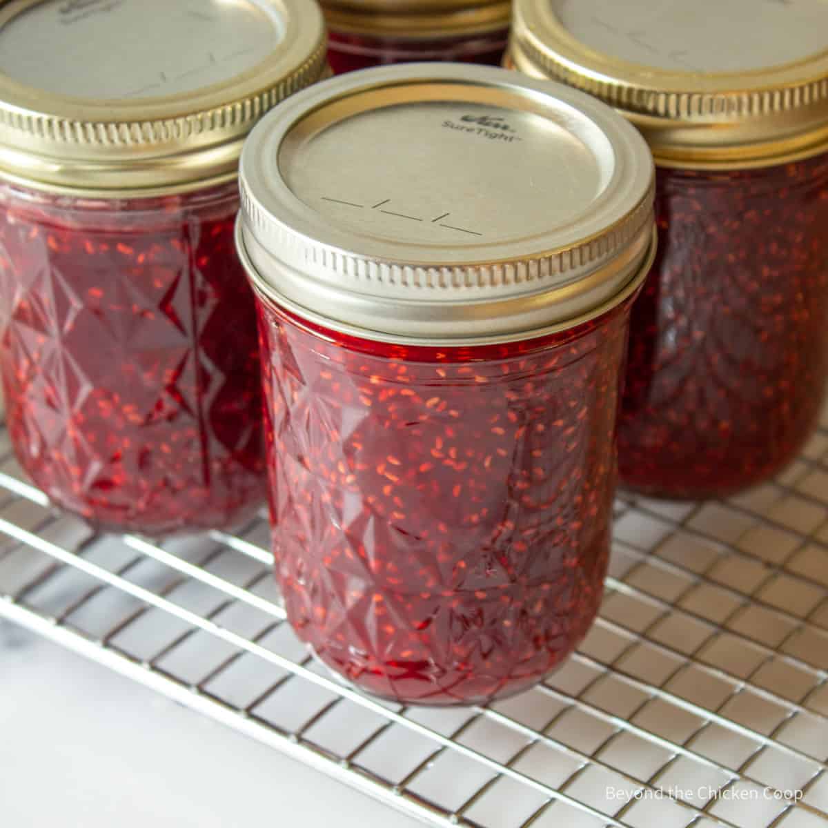 Canning jars filled with raspberry jam.