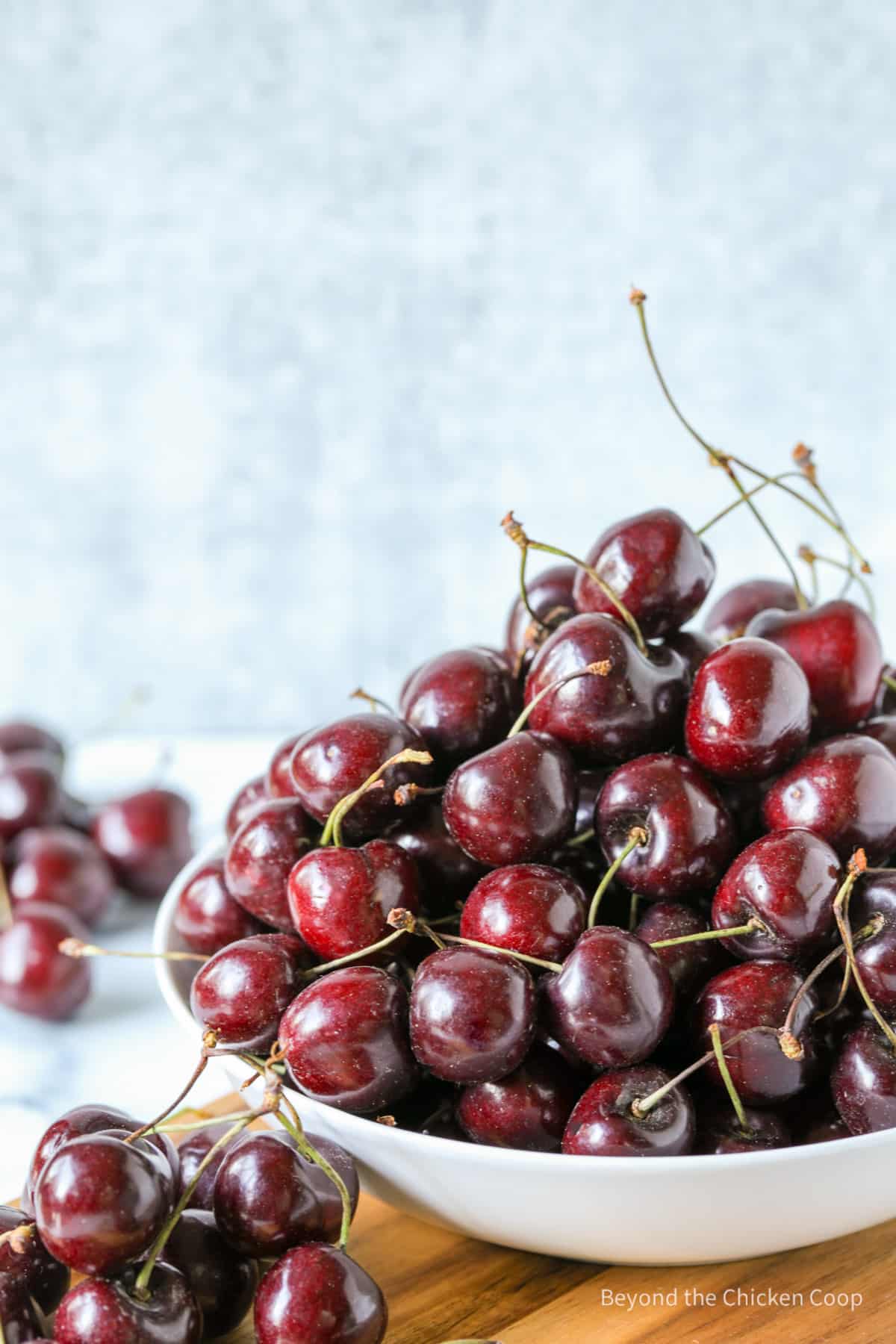 A bowlful of dark red cherries. 