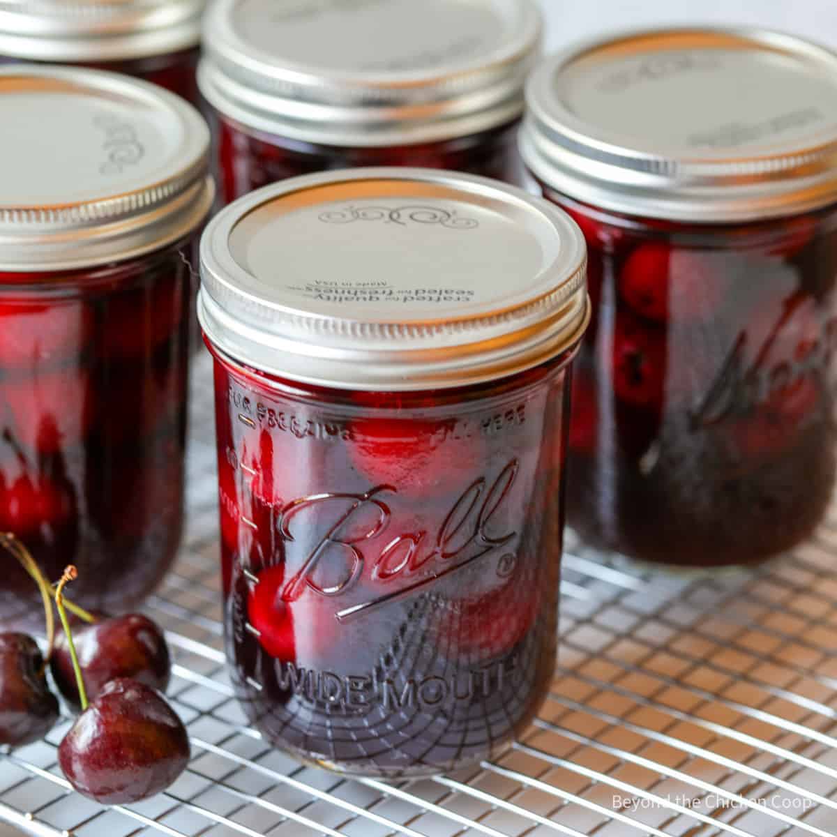 Canning jars filled with cherries. 
