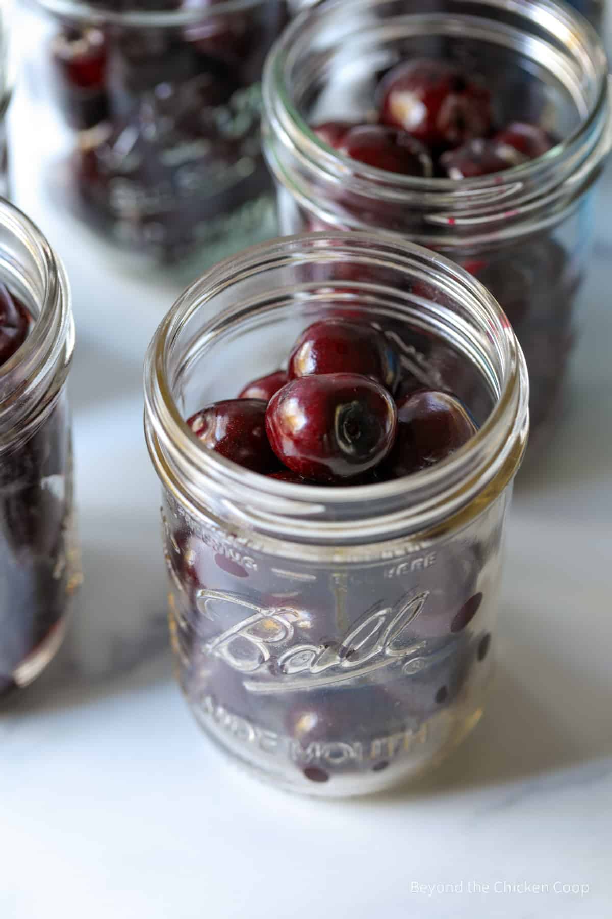 Fresh cherries in canning jars. 
