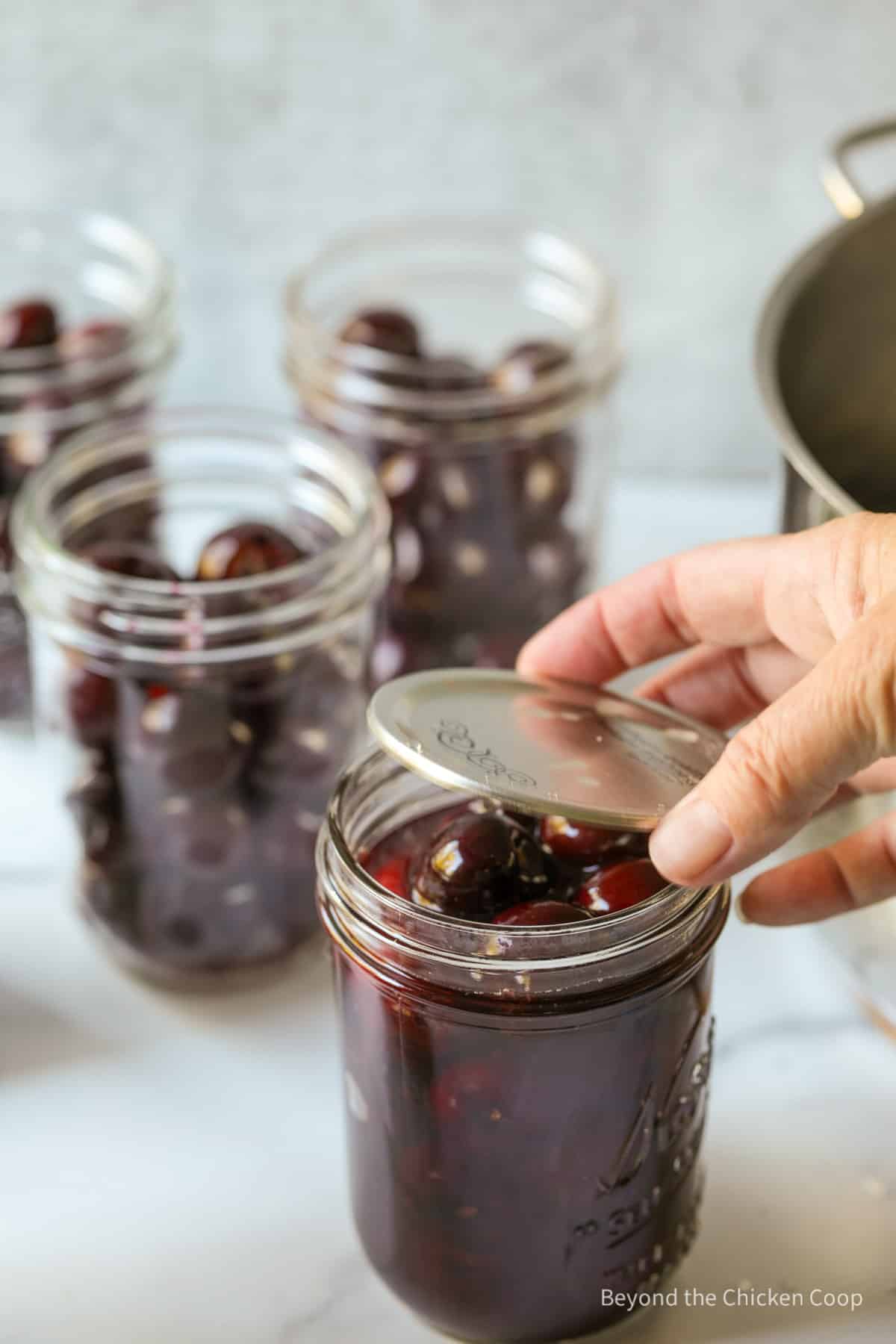 Placing a lid on a canning jar filled with cherries. 
