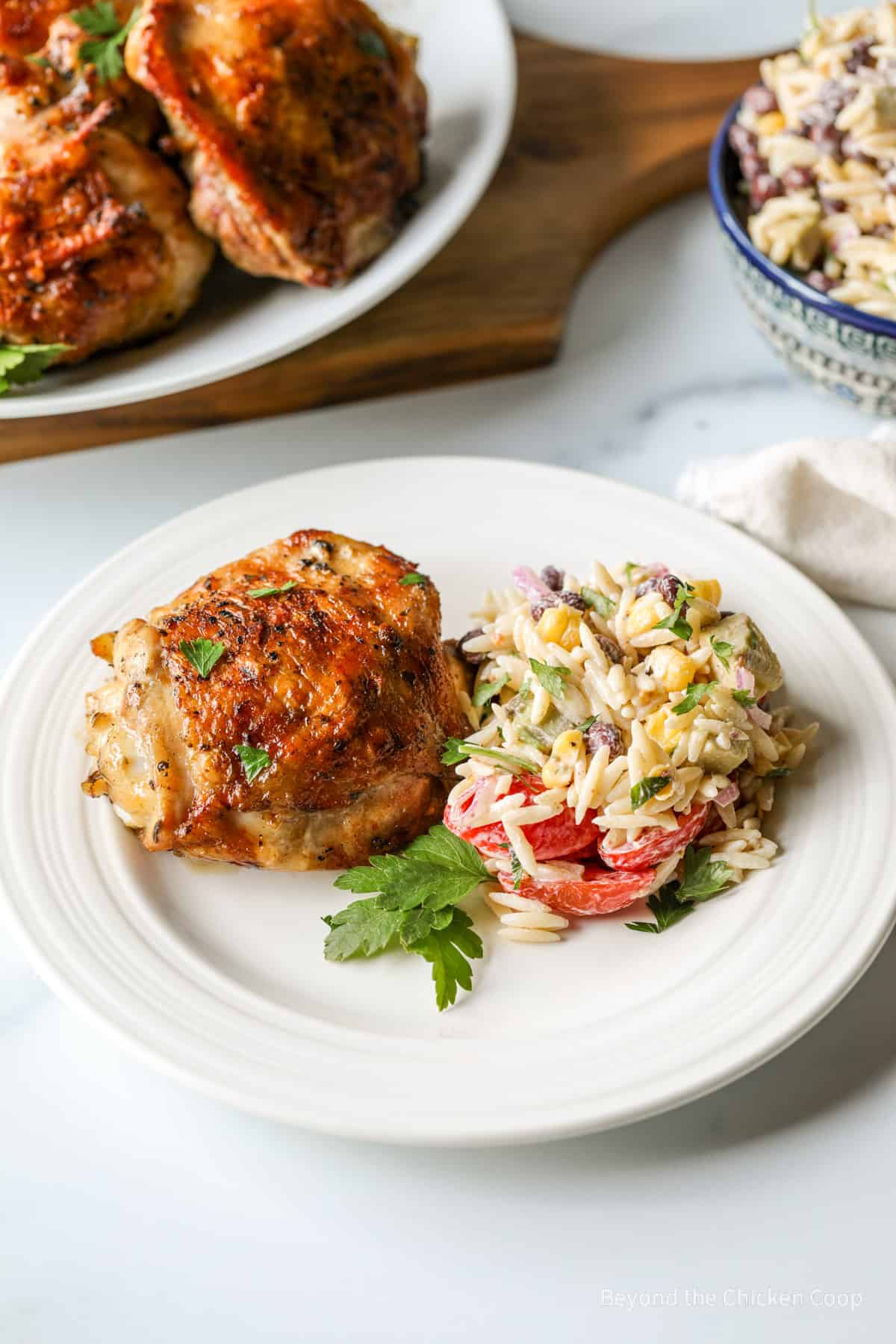 Grilled chicken and orzo salad on a plate. 
