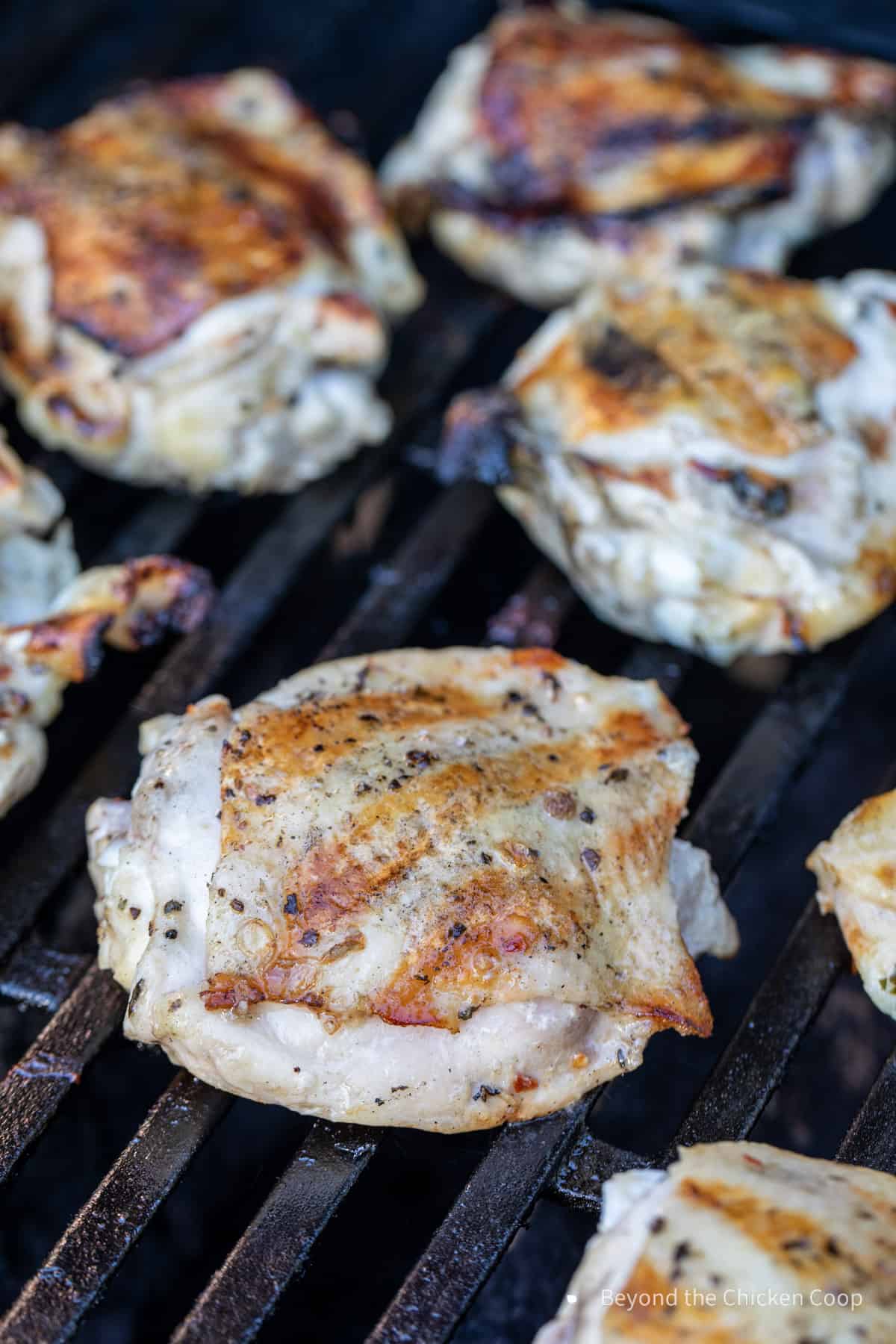 Chicken thighs on a gas grill. 