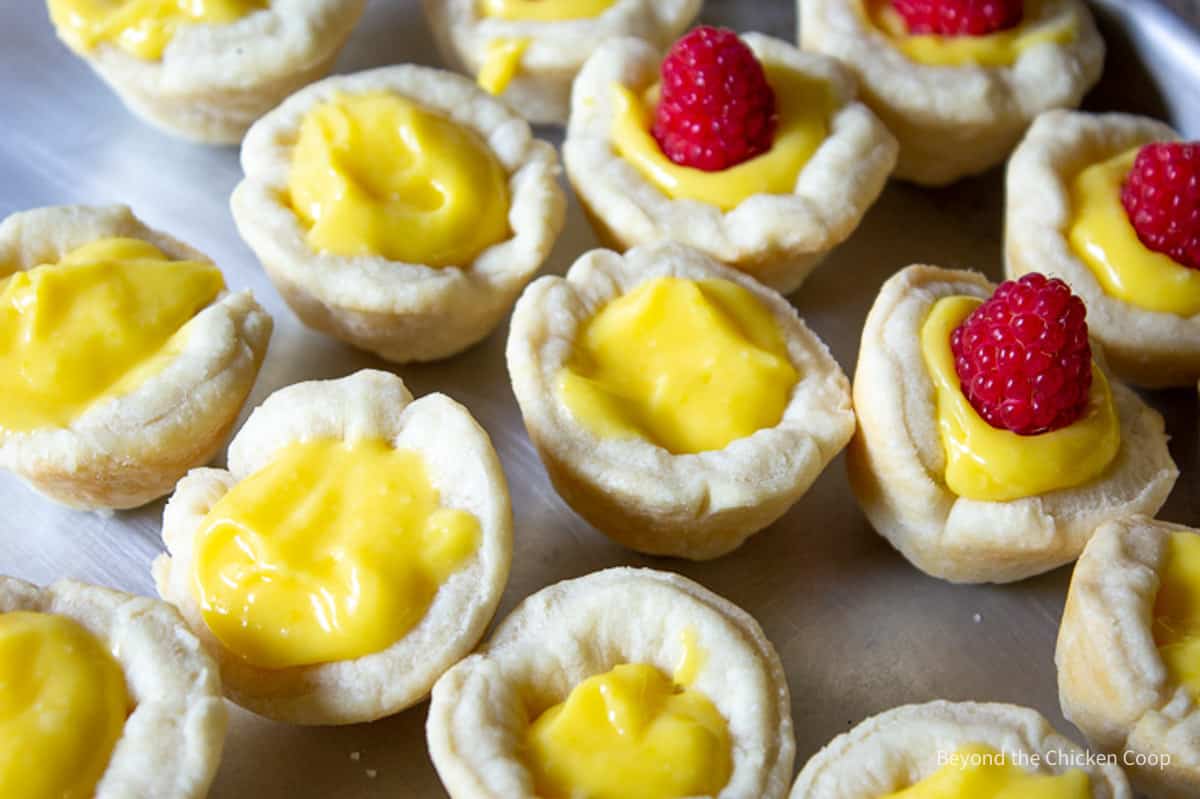 Raspberries being placed on top of lemon curd in mini shells. 