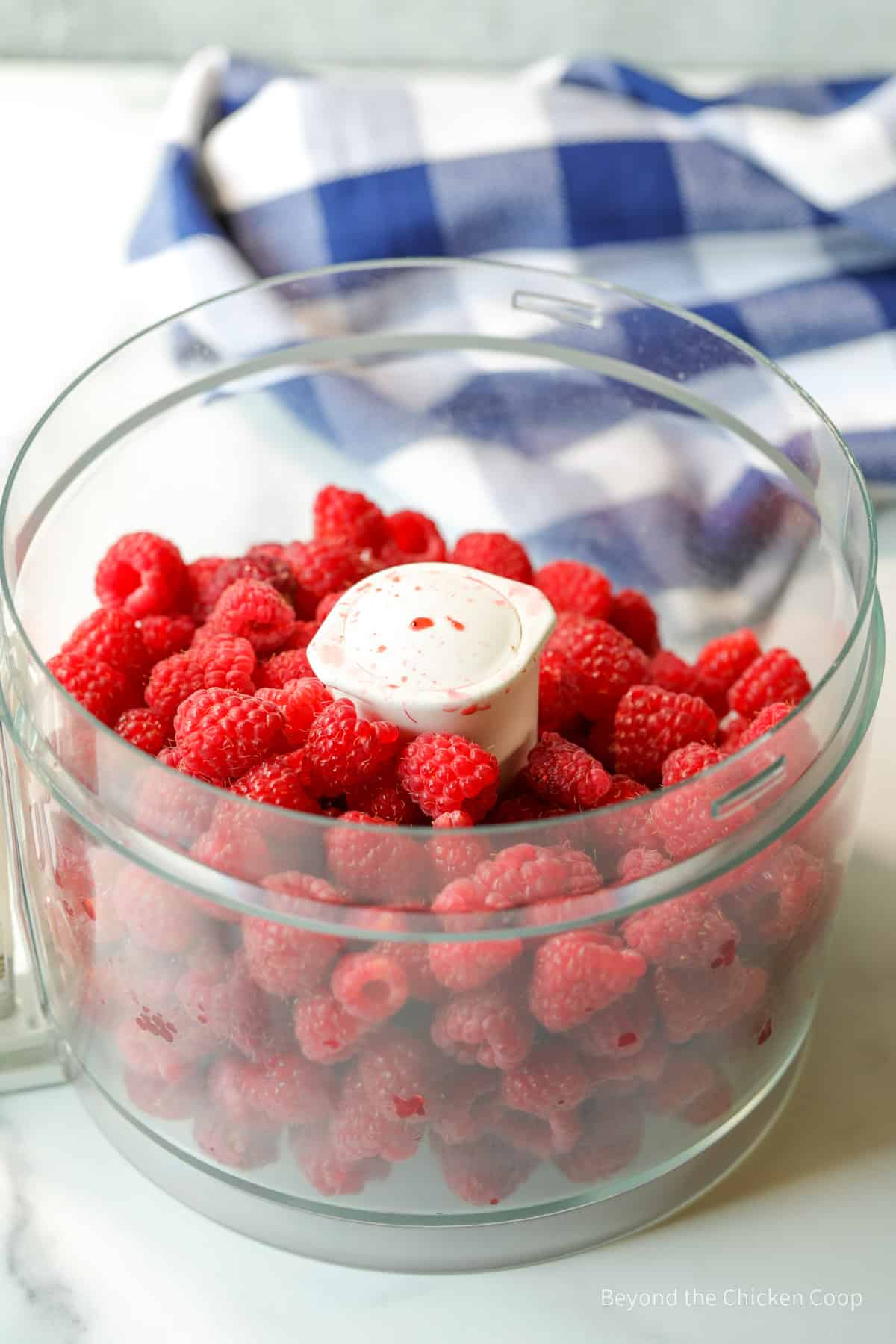 Fresh raspberries in a food processor bowl. 