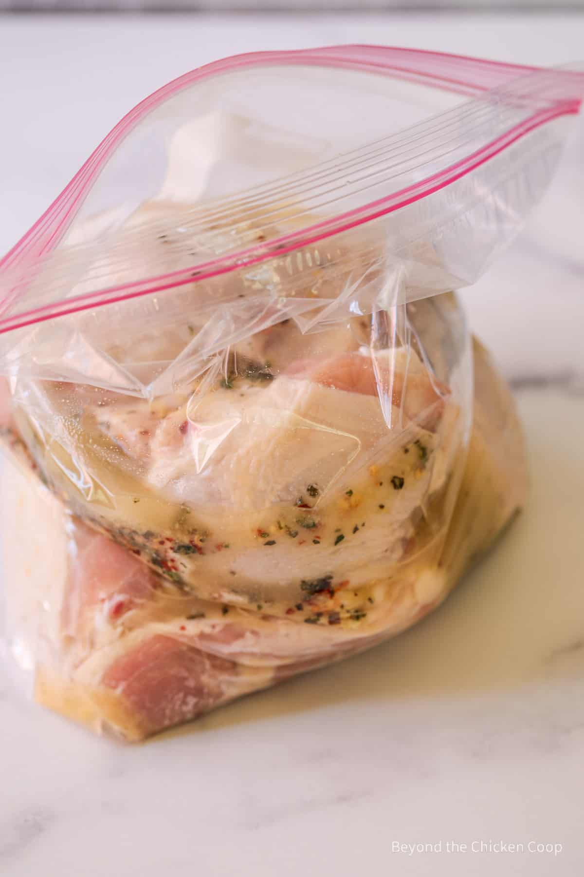 A ziplock bag filled with chicken thighs in a marinade.