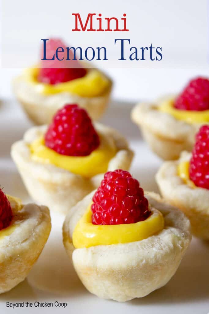 Small tarts filled with lemon and topped with a raspberry.