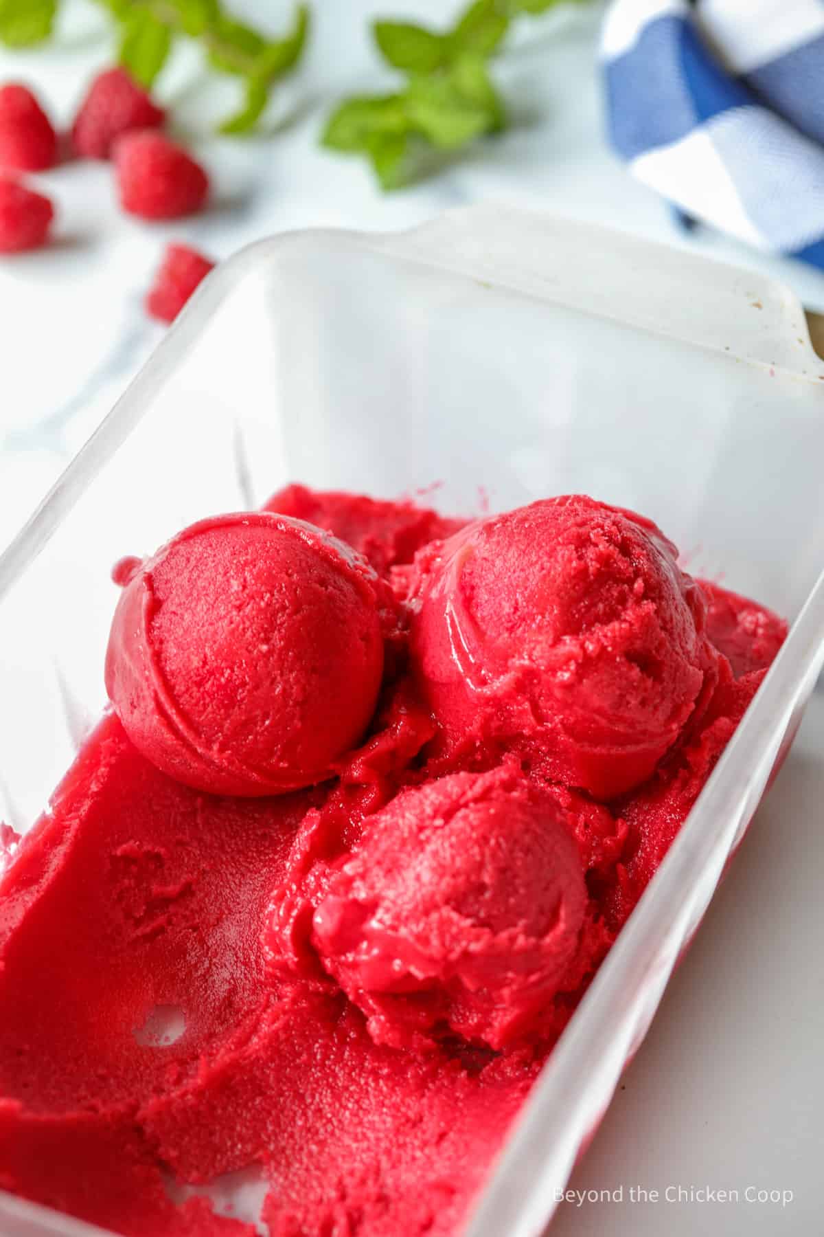 Homemade Raspberry Sorbet - Sugar Salt Magic