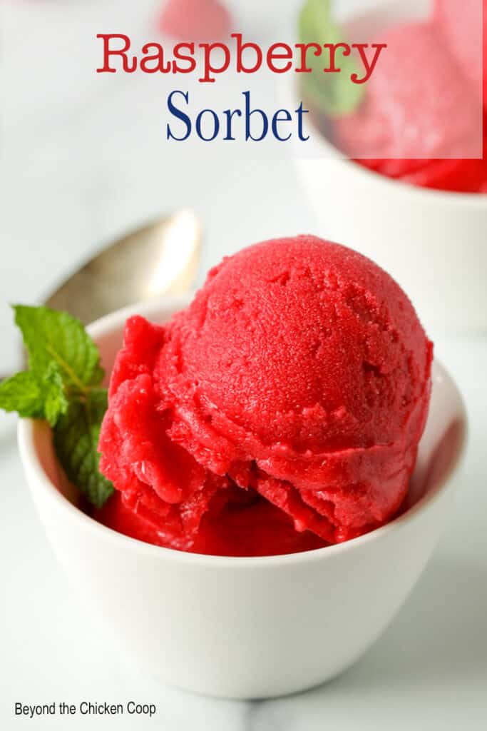 Two scoops of a red ice cream in a bowl with a sprig of mint.