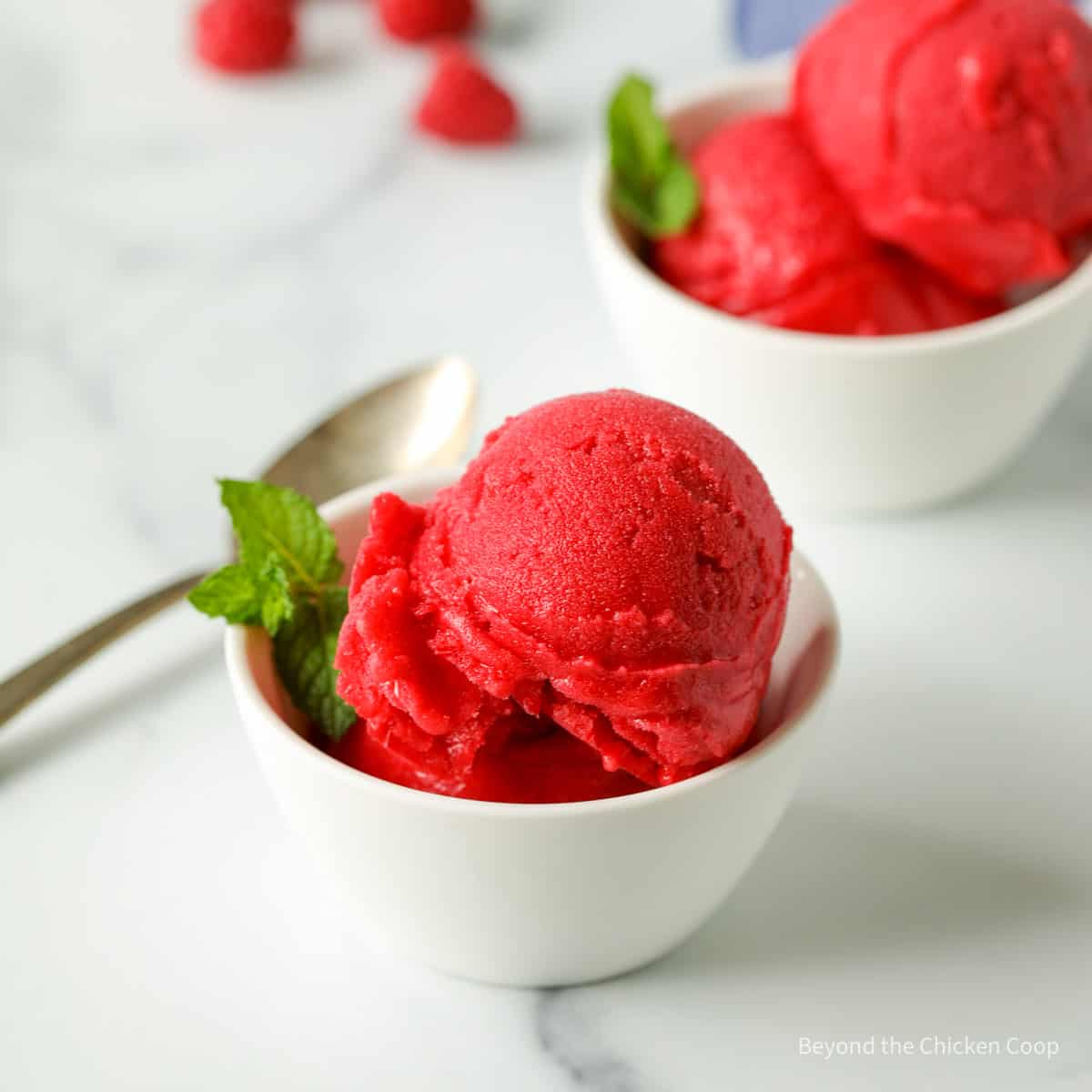 Raspberry Sorbet - Beyond The Chicken Coop