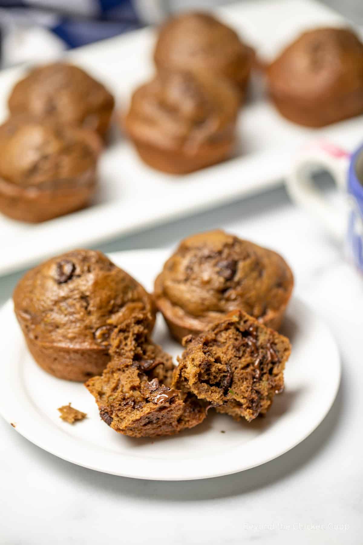 Chocolate muffins on a small white plate.