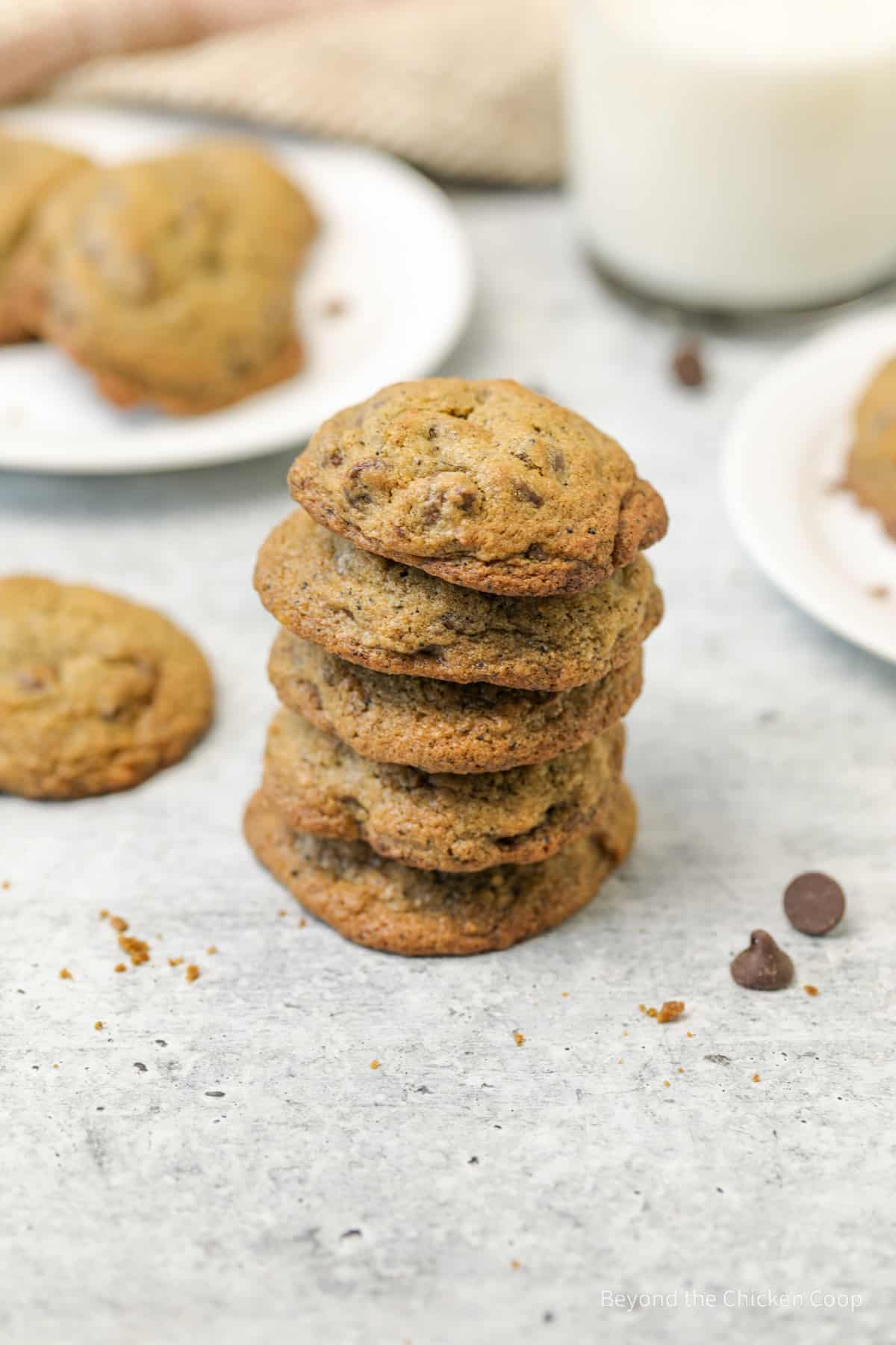 A stack of cookies on a counter.